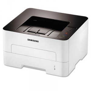 SASSLM2020W