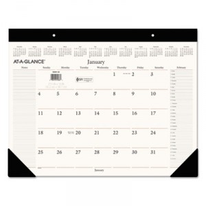 AAGSW20100