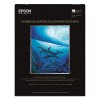 EPSS045487