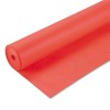PAC67104