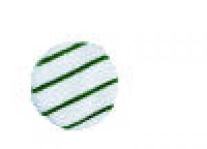 RCPP269