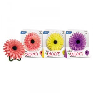 BRI900121CT