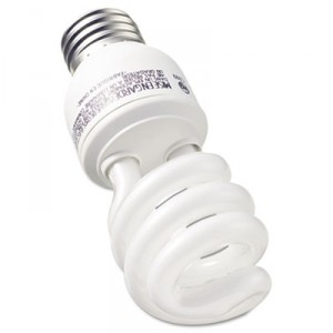 GEL74197