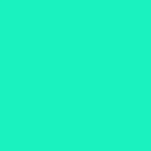 006165