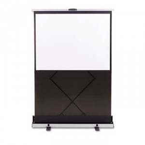 Euro Instant Portable Cinema Screen w/Black Carrying Case, 60 x 60
