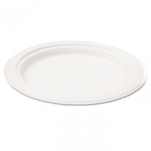 Compostable Sugarcane Bagasse 10 in Plate Round, White, 50/Pack