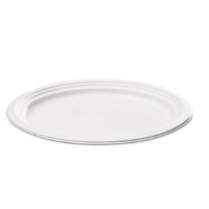 Compostable Sugarcane Bagasse Oval Plate, 9 x 6.5, White, 125/Pack
