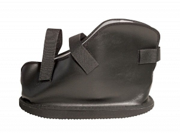 ORT29210XL