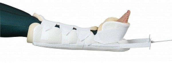 ORT31100